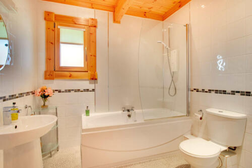 Apple Tree - family bathroom