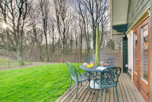 Apple Tree - patio area