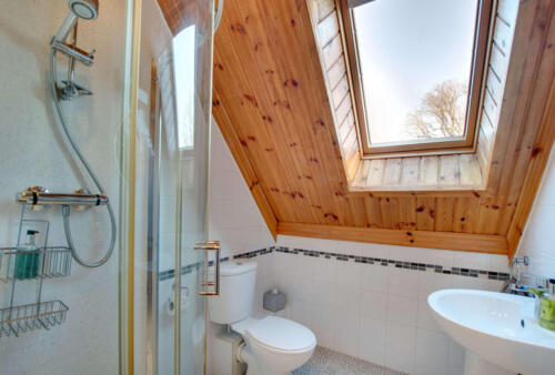 Apple Tree - shower room