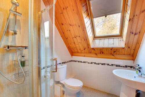 Lime Tree - shower room